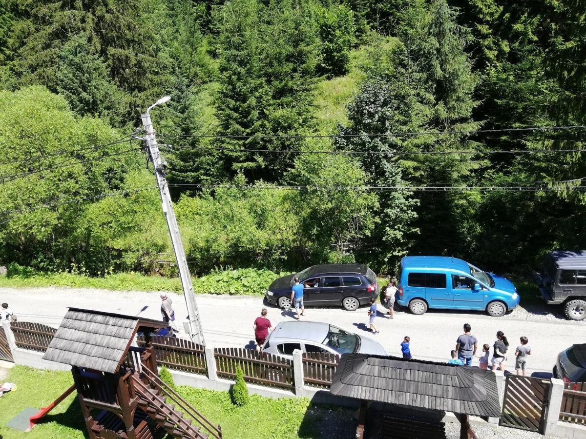 Cabana Cascada Cailor Hotel Borşa Eksteriør billede