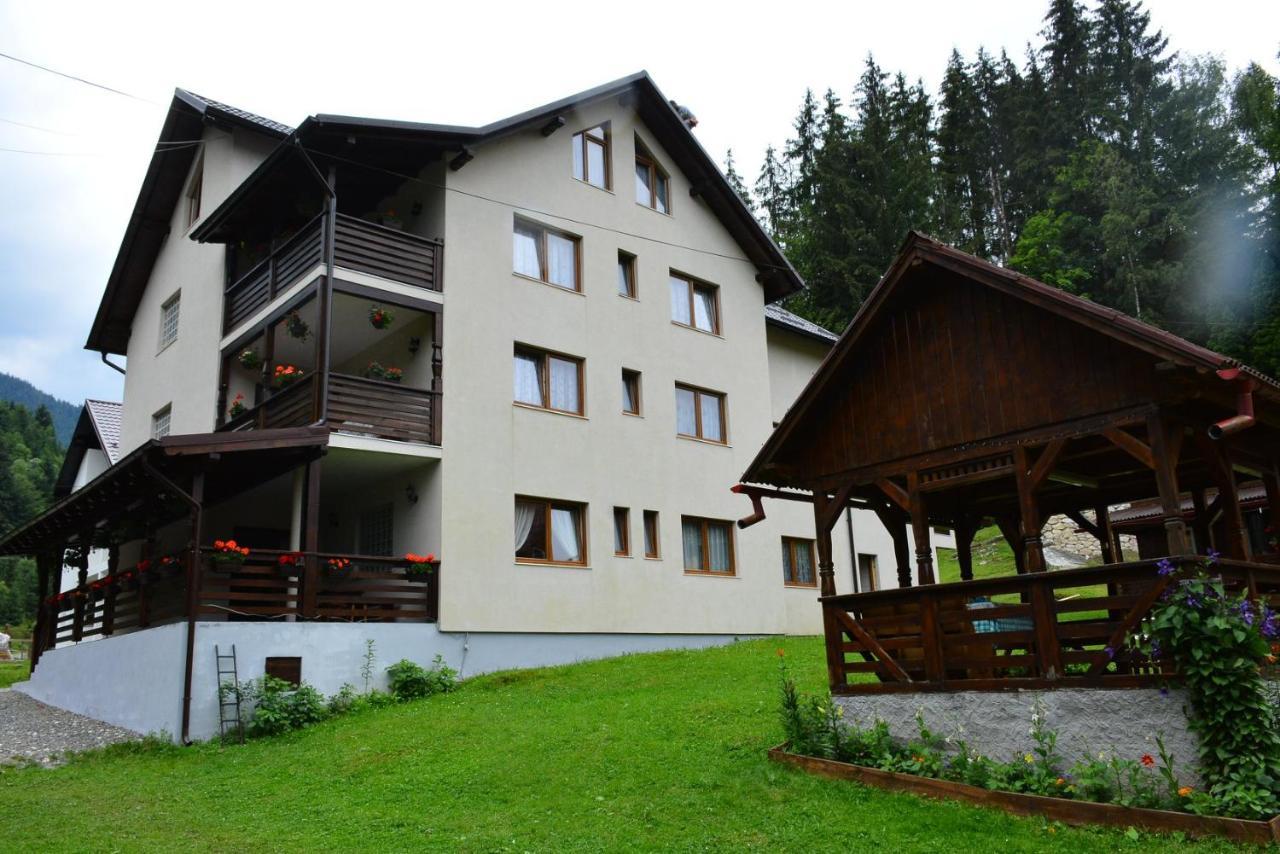 Cabana Cascada Cailor Hotel Borşa Eksteriør billede