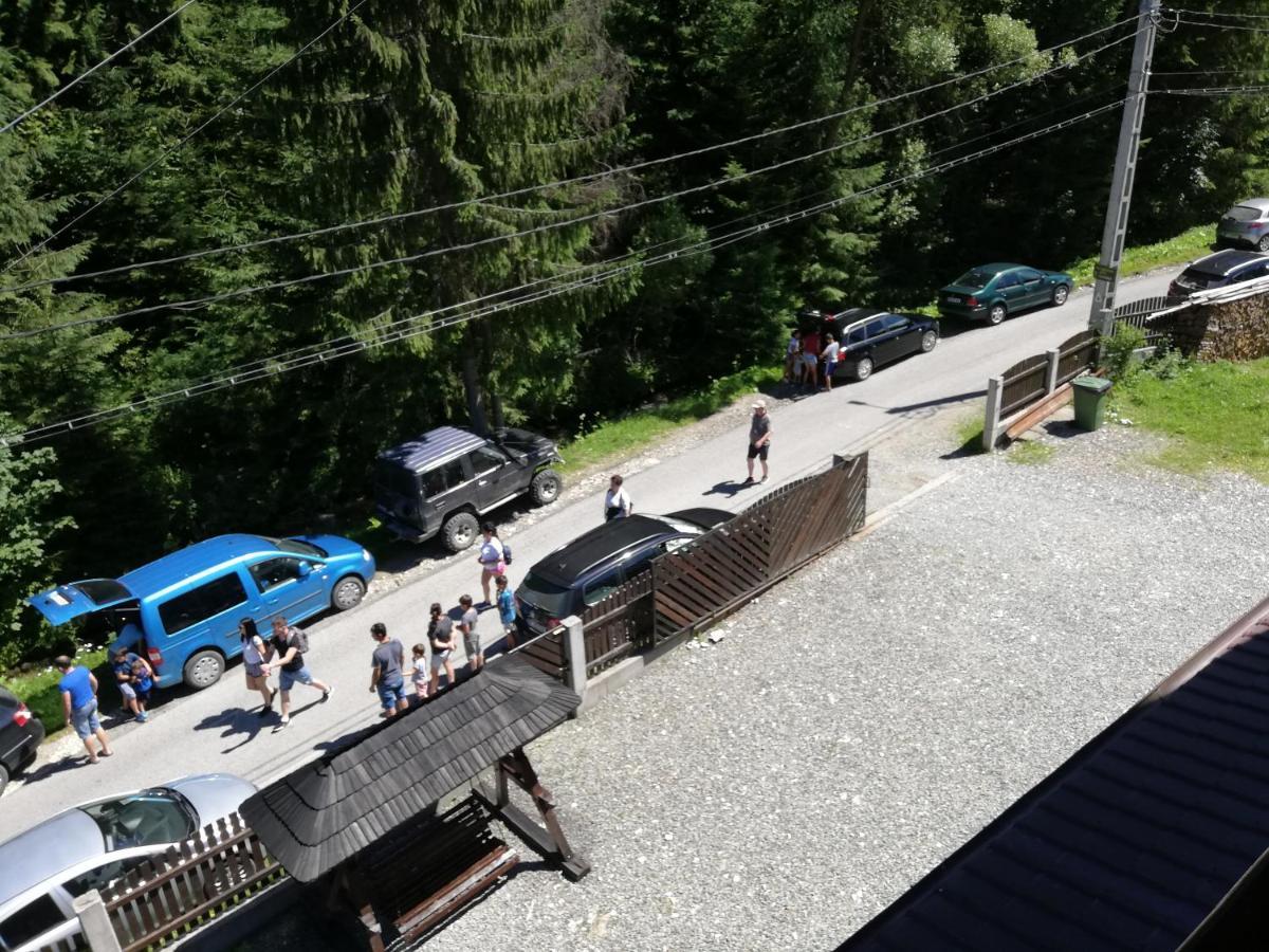 Cabana Cascada Cailor Hotel Borşa Eksteriør billede