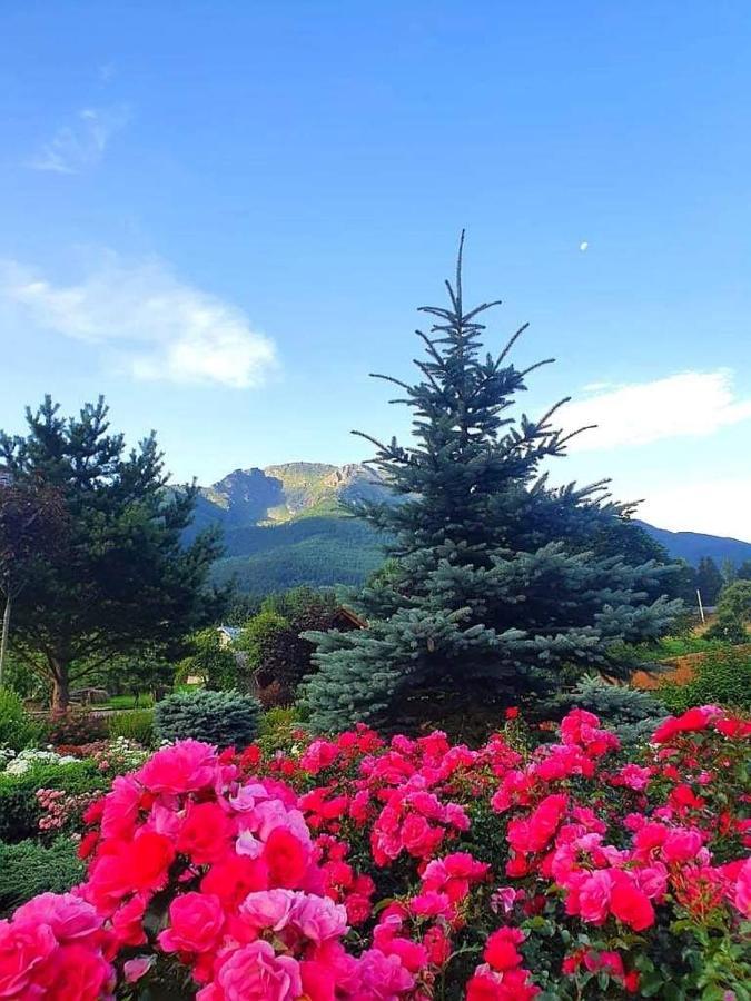 Cabana Cascada Cailor Hotel Borşa Eksteriør billede