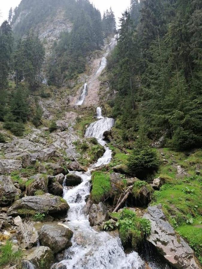 Cabana Cascada Cailor Hotel Borşa Eksteriør billede