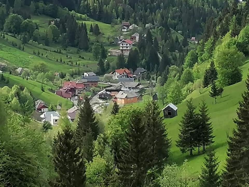Cabana Cascada Cailor Hotel Borşa Eksteriør billede