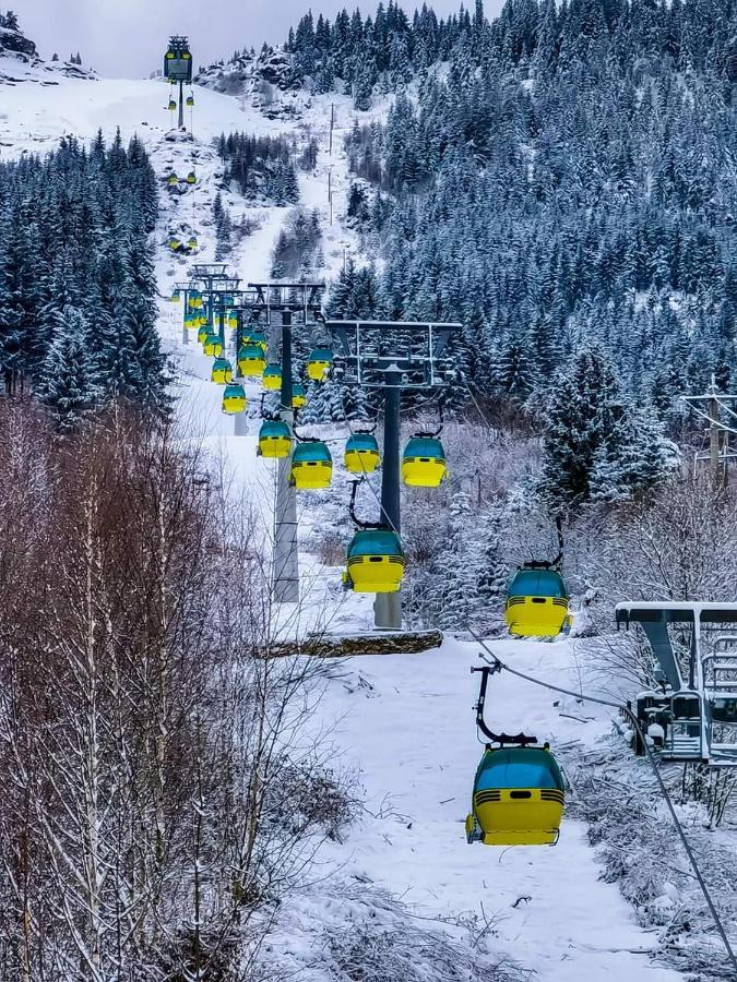 Cabana Cascada Cailor Hotel Borşa Eksteriør billede