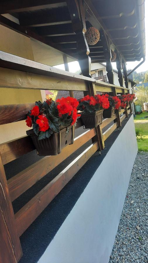 Cabana Cascada Cailor Hotel Borşa Eksteriør billede